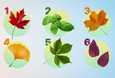 Найточніший психологічний тест на особистість: виберіть одне зображення