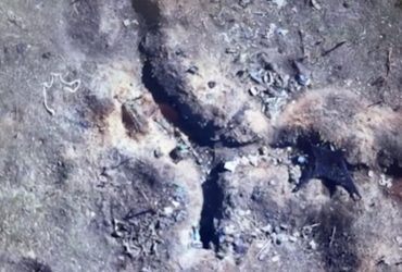 ССО показали кадры уничтожения оккупантов на востоке: ликвидировано много захватчиков (видео)