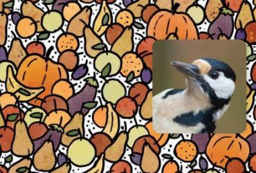 Невероятно сложная оптическая иллюзия: надо найти трех птиц за 9 секунд