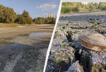Погибло озеро: в Киеве высох популярный водоем (фото)