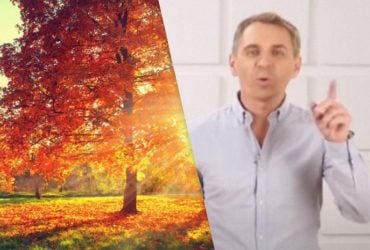 ЛистОпад чи листопАд: як поставити наголос, щоб не червоніти від сорому, - Авраменко