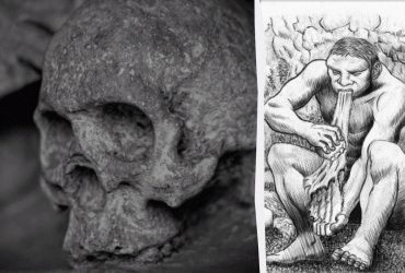 Вчені з'ясували, що древні люди були канібалами, і зовсім не через голод