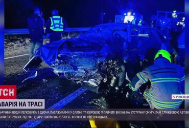 Водій з коровою у причепі врізався в авто поліцейських