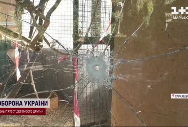 В екопарку потруїли тварин