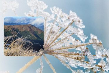 У Карпатах влупив мороз: температура впала до -6° (фото)