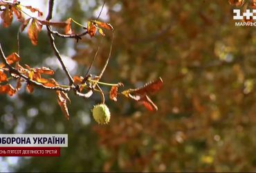 Холод, порывистый ветер и первый снег: погода на неделю