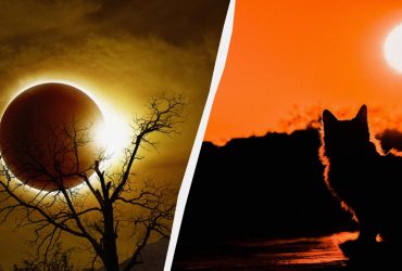 Огненное кольцо 14 октября 2023: приближается солнечное затмение