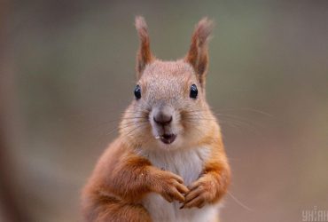 Аномальное тепло в Киеве установило рекорд