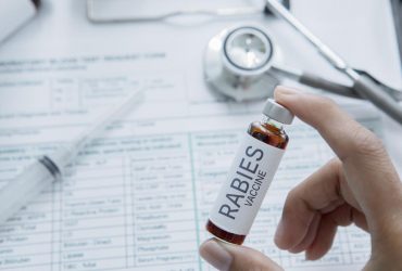 В МОЗ розвіяли міф про 40 уколів в живіт від сказу і розповіли, що насправді треба робити