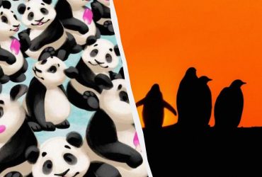 Чарівна оптична ілюзія: треба знайти пінгвіна серед милих панд за 7 секунд