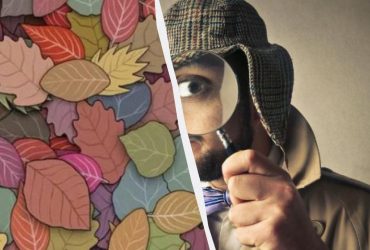 Только 1% одаренных людей увидят лягушку среди листьев за 5 секунд: хитрая оптическая иллюзия