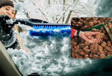 Автомобильный эксперт советует водителям натирать картошкой лобовое стекло, и вот почему