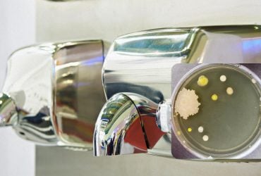 Микробиолог показал, какие на самом деле грязные общественные сушилки для рук – будете их избегать