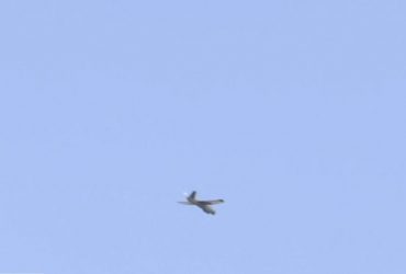 Військові показали роботу українського дрона, який не дає спокою ППО окупантів (відео)