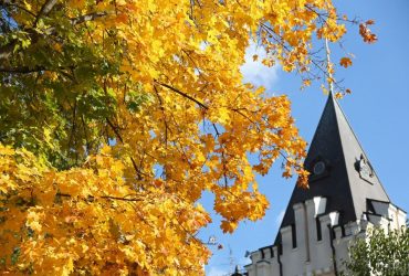 У Києві розквітла осінь: яка погода буде протягом дня