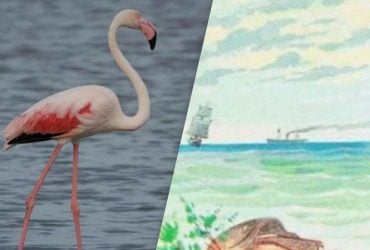 Только люди с талантом найдут 4 животных за 11 секунд: очень сложная оптическая иллюзия