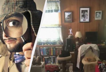 Оптична ілюзія для найспостережливіших: знайдіть замаскованих котів