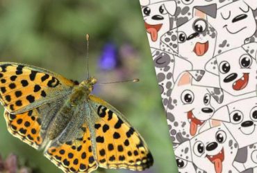 Розум, як у Шерлока, чи ні: головоломка для перевірки IQ