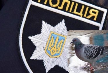 Підліток вбив тварину на очах у друзів: на Чернігівщині знайшли підозрюваного