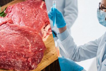 Красное мясо может быть не таким уж и вредным: новое исследование