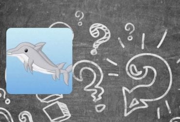 Сверхсложная задачка для гениев: посчитайте всех дельфинов