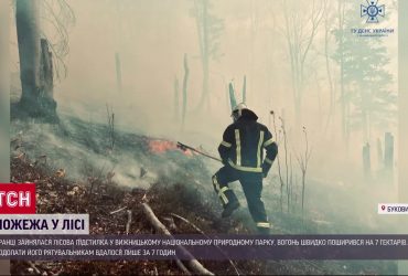 Карпати горять - масштабна пожежа в лісі на Буковині