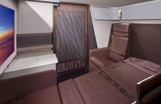 Закриті люкси та двомісні ліжка: японський авіаперевізник показав свій новий літак (фото)