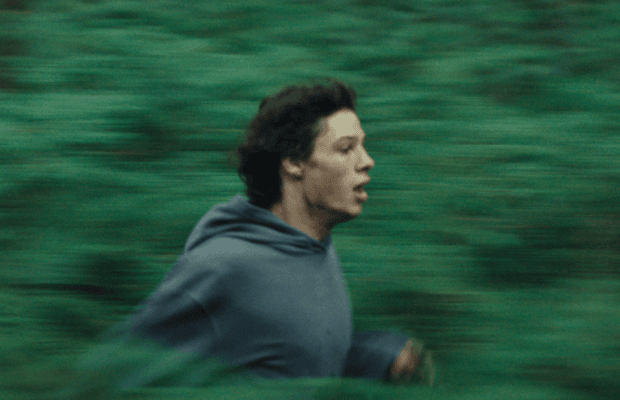 Фантастические мутации и звездные актеры: интересные факты о фильме "Королевство зверей"