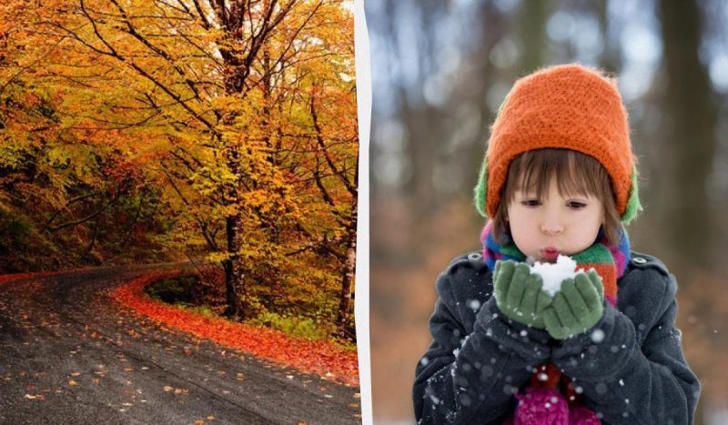 Какой сегодня праздник 21 октября / коллаж УНИАН, фото ua.depositphotos.com Какой сегодня праздник 21 октября / коллаж УНИАН, фото ua.depositphotos.com