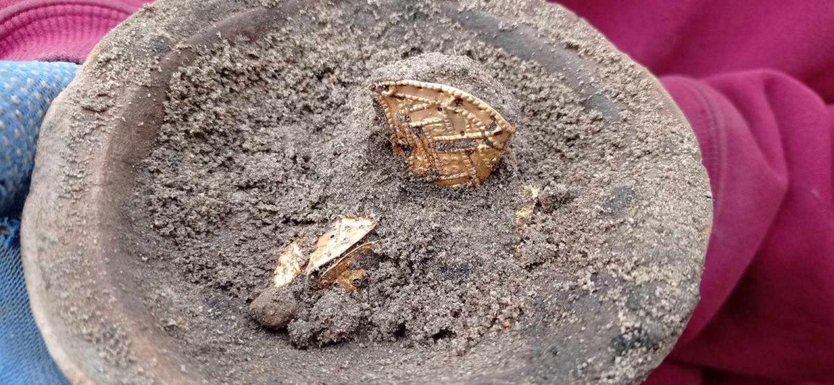 Золотой клад обнаружили в керамическом сосуде / фото Facebook/iarchaeology Золотой клад обнаружили в керамическом сосуде / фото Facebook/iarchaeology