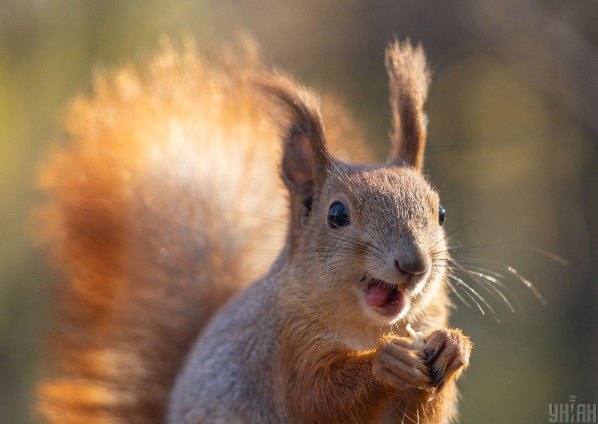 Київ чекає тепла п'ятиденка: синоптики потішили прогнозом (графік)