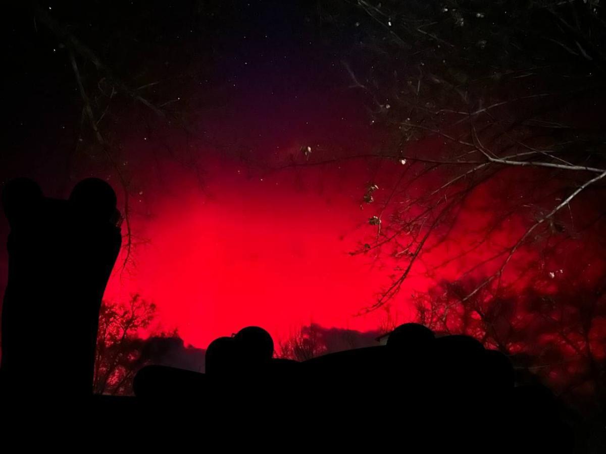 Північне сяйво спостерігали у Київській області 5 листопада / фото t.me/xydessa