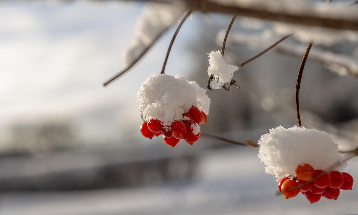 Погода зимой по народным приметам / pixabay.com Погода зимой по народным приметам / pixabay.com