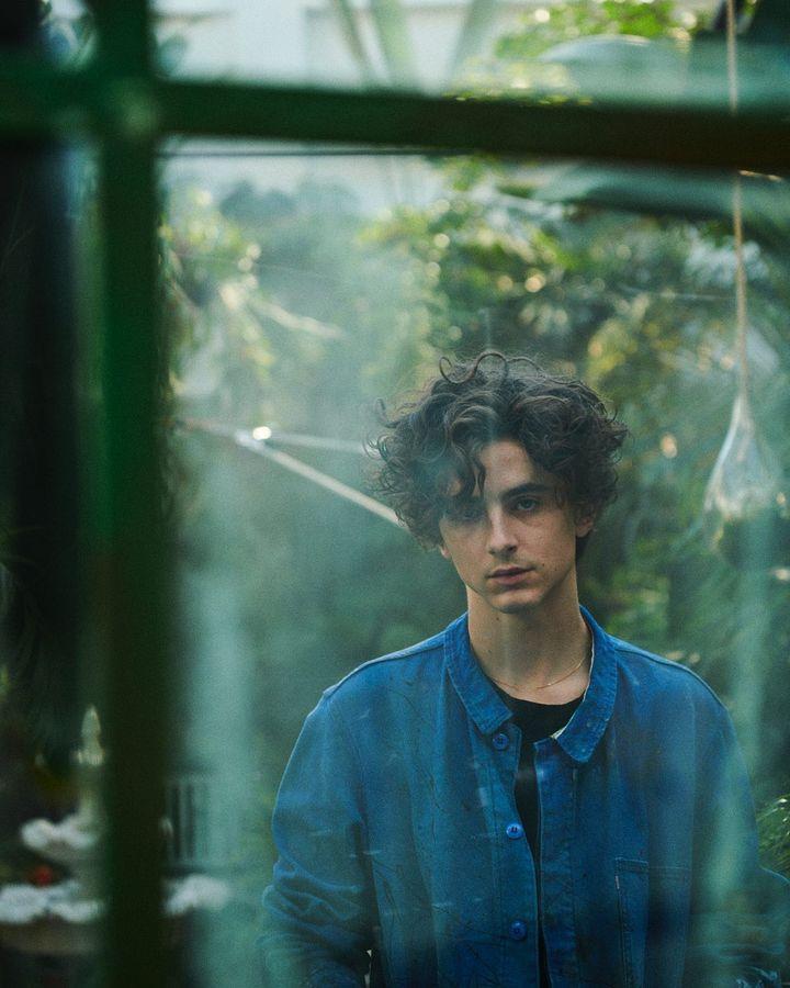Тімоті Шаламе / instagram.com/tchalamet Тімоті Шаламе / instagram.com/tchalamet