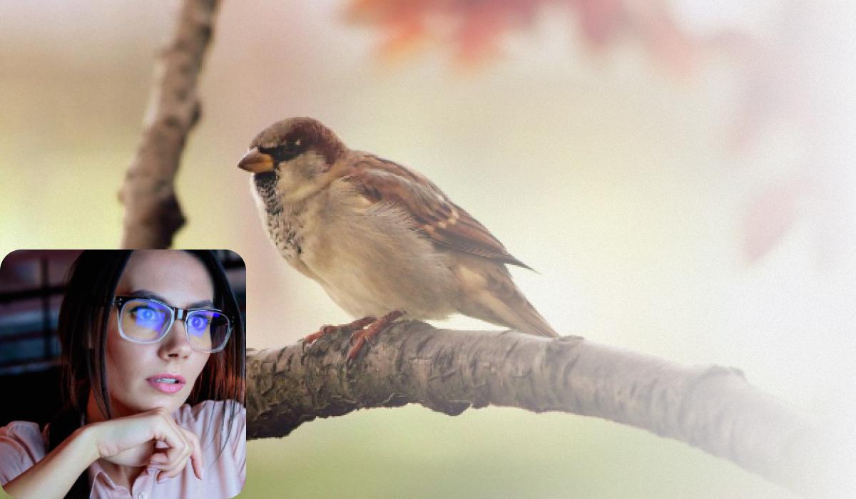 Перевірте за допомогою оптичної ілюзії, чи є у вас ідеальний зір / колаж з фото pixabay.com та ua.depositphotos.com