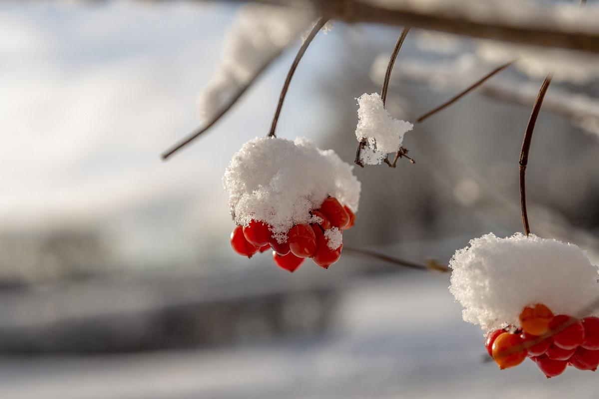 Приметы на сегодня
