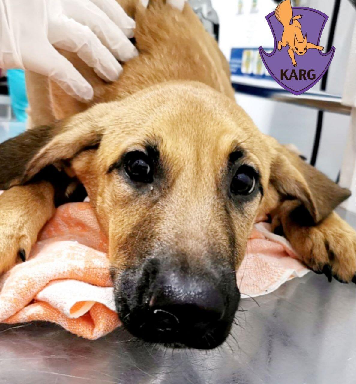 Скриншот с Facebook