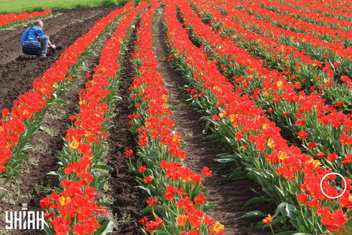 фото УНІАН