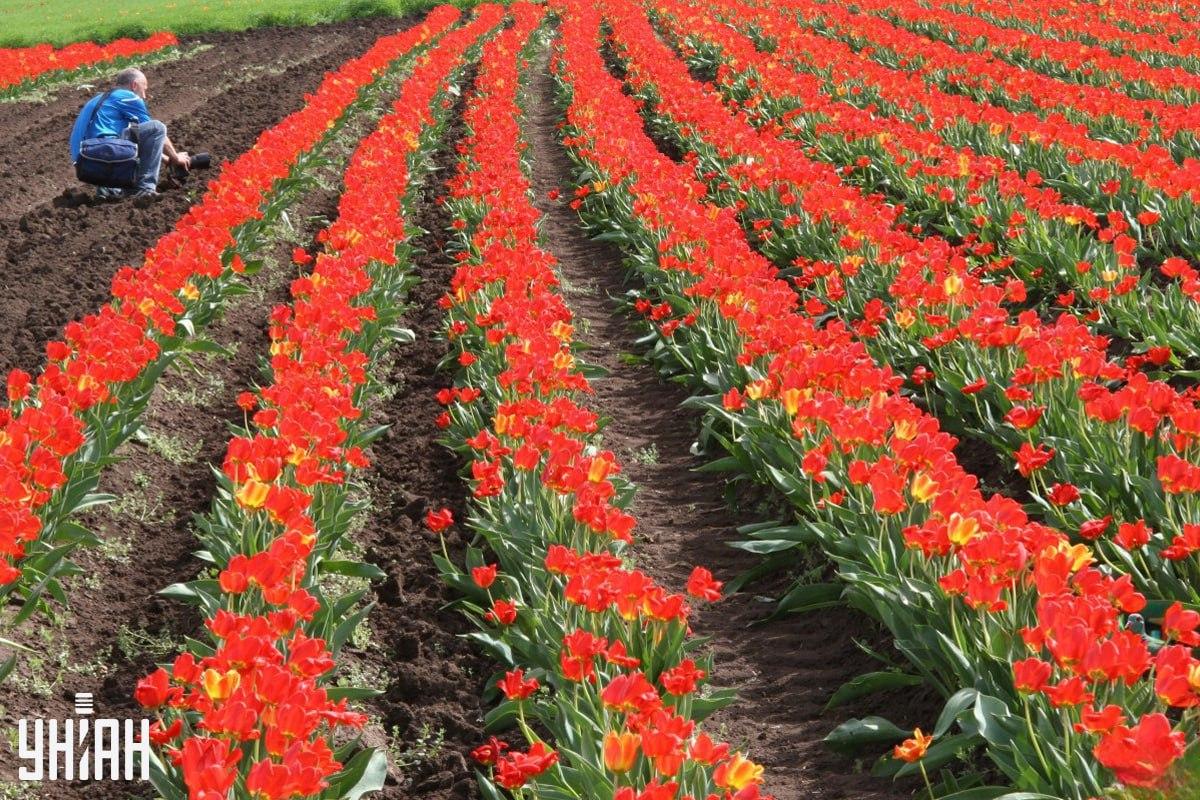 фото УНІАН