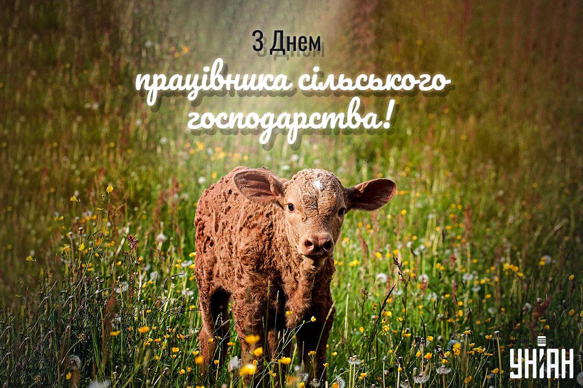 День працівника сільського господарства 2023 Україна / фото pixabay.com День працівника сільського господарства 2023 Україна / фото pixabay.com