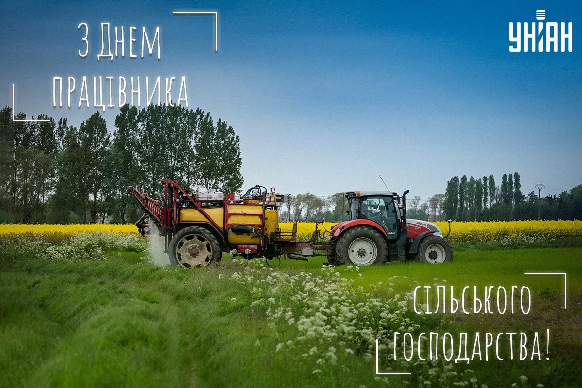 З Днем працівників сільського господарства / фото pixabay.com З Днем працівників сільського господарства / фото pixabay.com