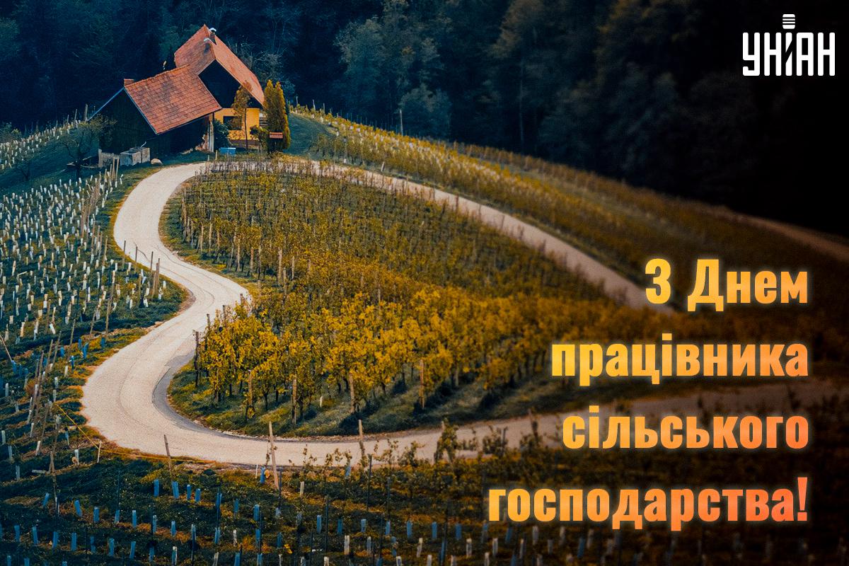 Вітання з Днем працівників сільського господарства / фото pixabay.com Вітання з Днем працівників сільського господарства / фото pixabay.com