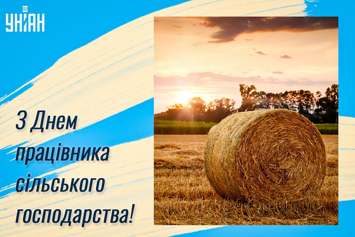 З Днем працівників сільського господарства листівки / фото pixabay.com З Днем працівників сільського господарства листівки / фото pixabay.com