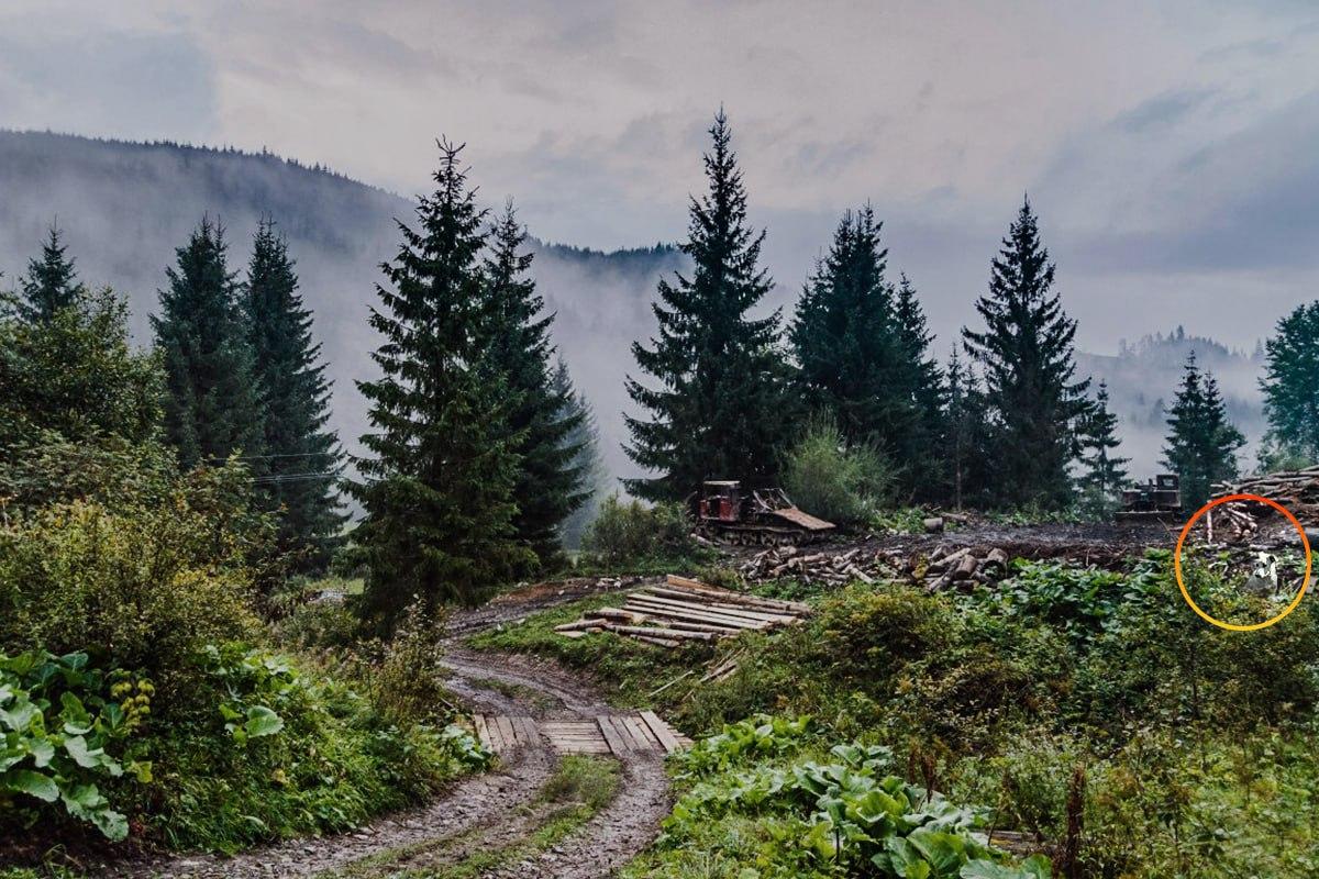 фото УНИАН фото УНИАН