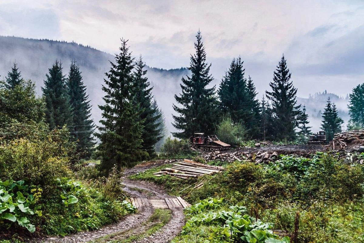 фото УНИАН фото УНИАН