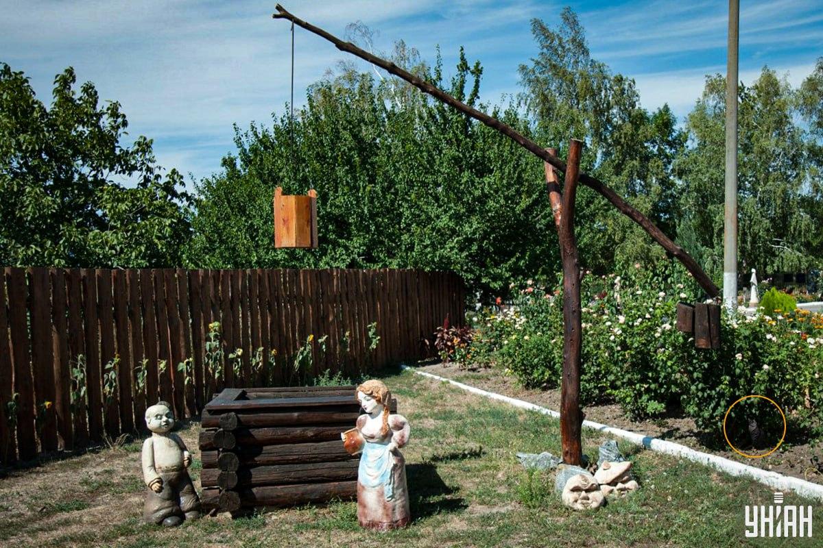 Кот находился на клумбе / коллаж УНИАН Кот находился на клумбе / коллаж УНИАН