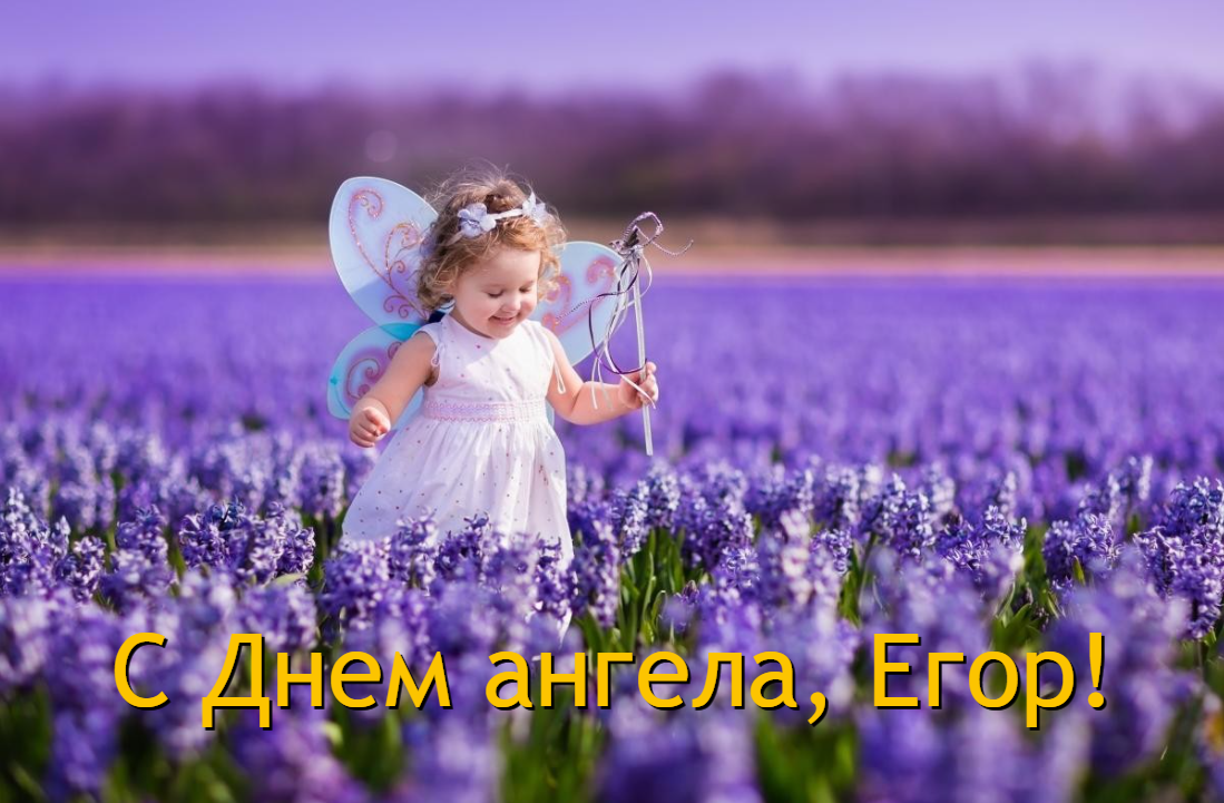 С Днем ангела Егора / фото ua.depositphotos.com С Днем ангела Егора / фото ua.depositphotos.com