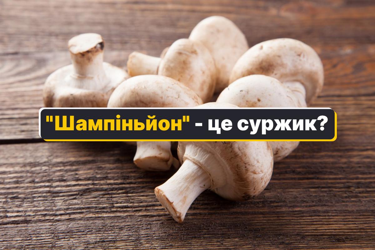 Украинские языковеды советуют попрощаться со словом "шампіньйон" / коллаж УНИАН, фото ua.depositphotos.com Украинские языковеды советуют попрощаться со словом "шампіньйон" / коллаж УНИАН, фото ua.depositphotos.com