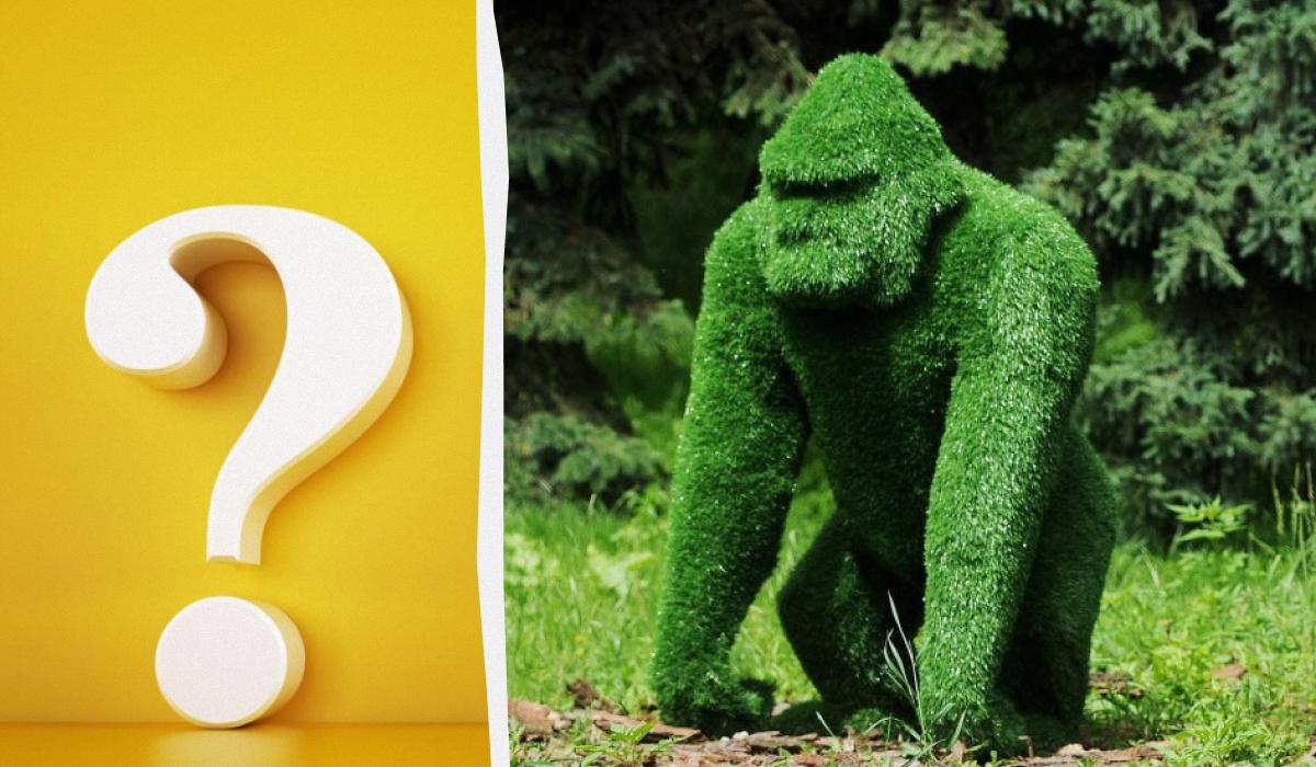 Иллюзия для сообразительных / Коллаж УНИАН / фото ua.depositphotos.com, УНИАН