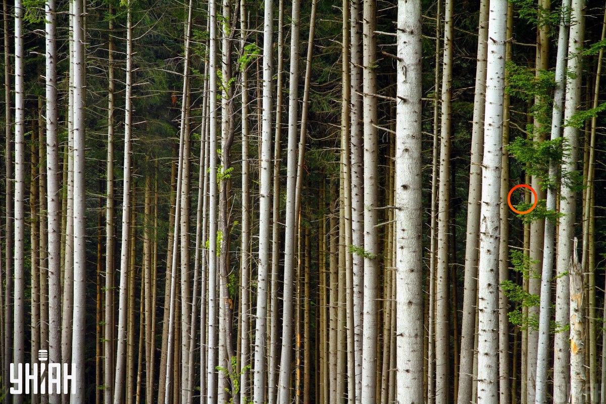 фото УНІАН фото УНІАН